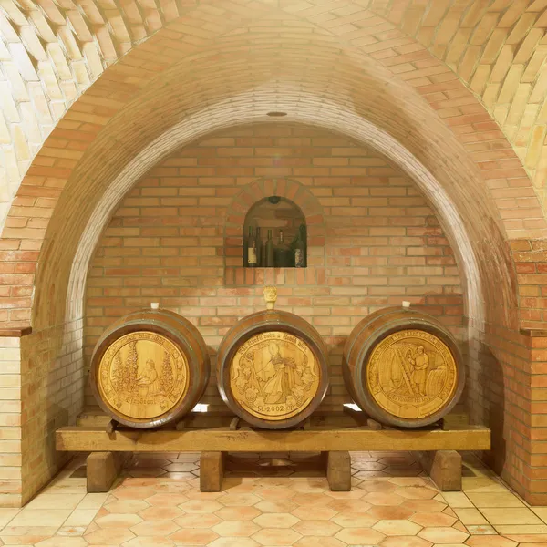 Wine cellar, Sidleny, Livi Dubnany, República Checa — Fotografia de Stock