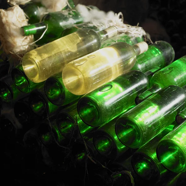 酒窖，bily sklep rodiny adamkovy，chvalovice，捷克共和国 — 图库照片