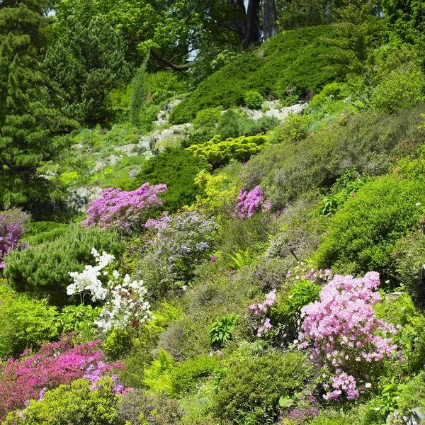 stock image Pruhonice Park