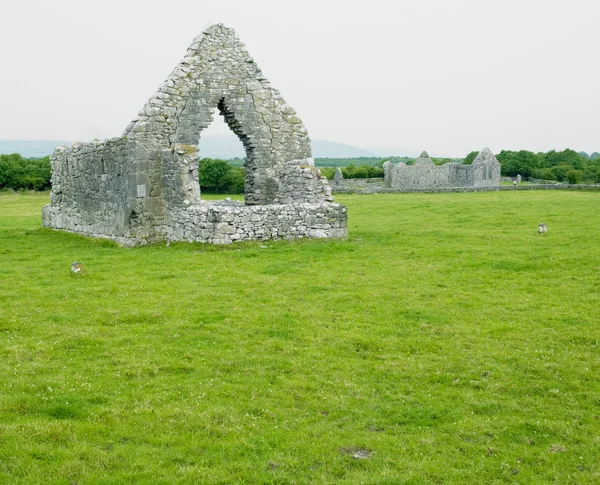 Kilmacduagh Manastırı, county galway, İrlanda kalıntıları — Stok fotoğraf