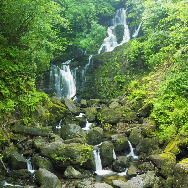 Torc waterfall, killarney national park, grevskapet kerry på Irland — Stockfoto