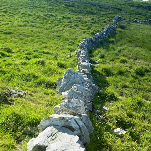 石墙、 羊 ' s 头半岛、 县黄柏、 爱尔兰 — 图库照片