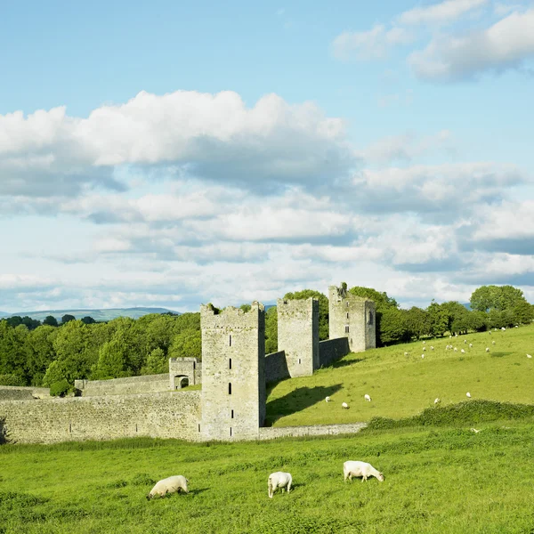 Kells Priory, County Kilkenny, Ireland — Stock Photo, Image