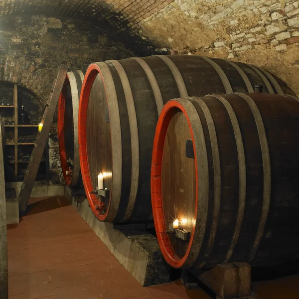 Wine cellar, Litomerice, Czech Republic — Stock Photo, Image