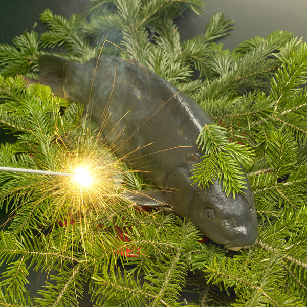 Чешская рождественская традиция
)