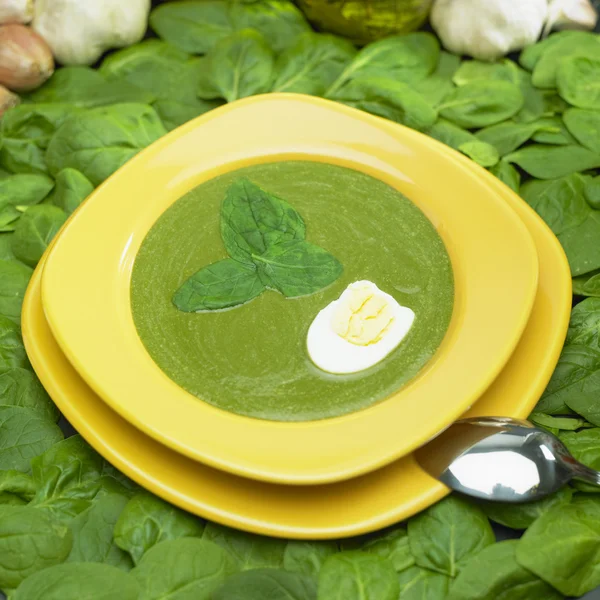 Cream spinach soup — Stock Photo, Image