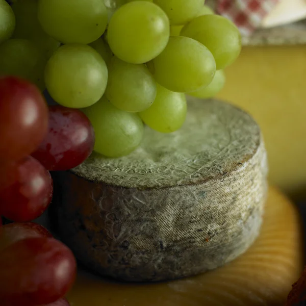 Kaas met druiven — Stockfoto