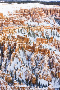 Bryce Canyon Ulusal Parkı, Utah, ABD