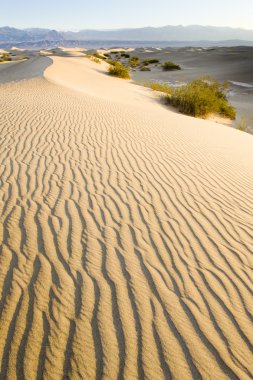 Stovepipe Wells sand dunes, Death Valley National Park, Californ clipart