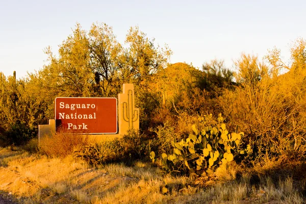 サグアロの国立公園、アリゾナ、米国の入口 — ストック写真