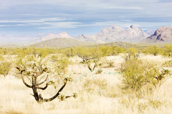 Táj Arizona, Amerikai Egyesült Államok — Stock Fotó