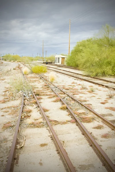 Zugewachsene Gleise, arizona, usa — Stockfoto