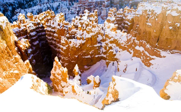 Bryce Canyon National Park in winter, Utah, USA — Stock Photo, Image
