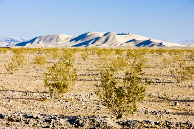 Dumont dunes, Kaliforniya, ABD
