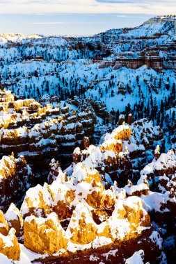 Bryce Canyon Ulusal Parkı, Utah, ABD