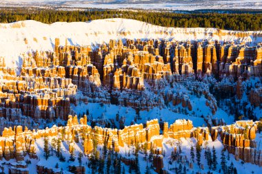 Bryce Canyon Ulusal Parkı, Utah, ABD