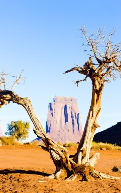 u pencerenin, anıt Vadisi Milli Parkı, utah-arizona