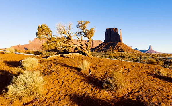 A kesztyű, a monument valley nemzeti park, a utah-arizona, usa — Stock Fotó