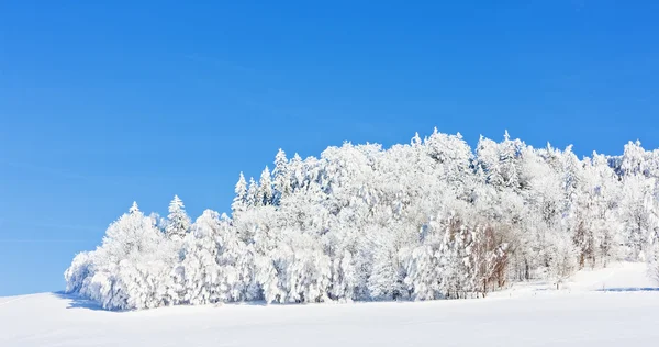 Jeseniky gebergte in de winter, Tsjechië — Stockfoto