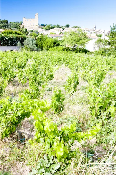 Chateauneuf-du-pape med vingård, provence, Frankrike — Stockfoto