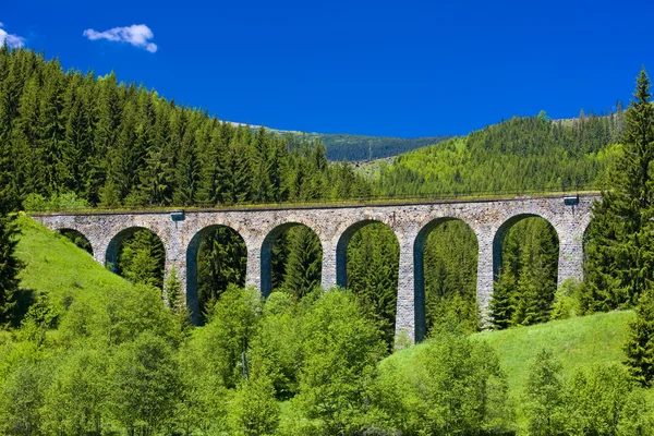 Spoorwegviaduct bij Telgart, Slowakije — Stockfoto
