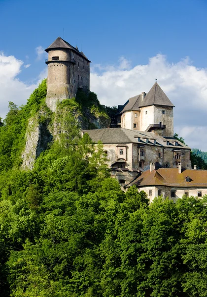 Oravsky замок, Словаччина — стокове фото