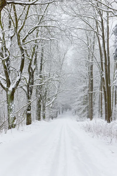 Estrada nevada, República Checa — Fotografia de Stock
