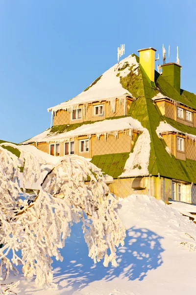 Masarykova cottage, orlicke bergen in de winter, Tsjechië — Stockfoto