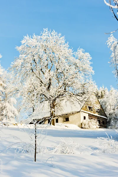 Ferienhaus im Winter, jeseniky, Tschechische Republik — Stockfoto
