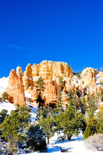 Parque Nacional Bryce Canyon en invierno, Utah, EE.UU. —  Fotos de Stock