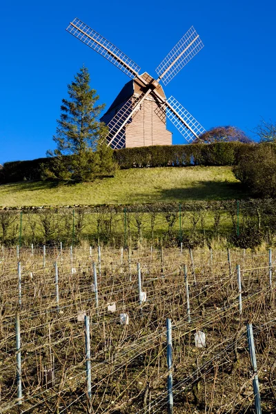 Windmühle und Weinberg in der Nähe von Verzenay, Champagnerregion, Burgund, — Stockfoto