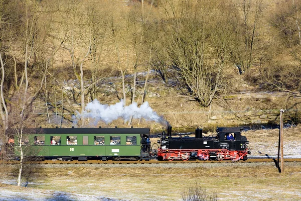 Parowa pociąg, steinbach - j — Zdjęcie stockowe