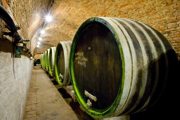 Wine cellar, Jaroslavice, Czech Republic — Stock Photo, Image