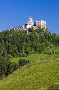 Stara Lubovna Castle, Slovakia clipart