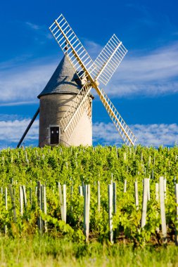 Vineyards with windmill near Ch clipart