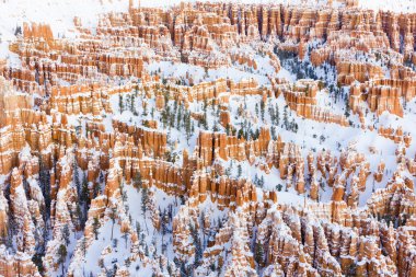 Bryce Canyon Ulusal Parkı, Utah, ABD