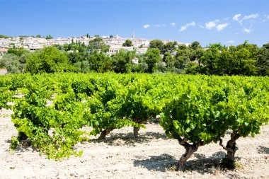 La CADIERE d'' azur ile üzüm bağları, provence, Fransa