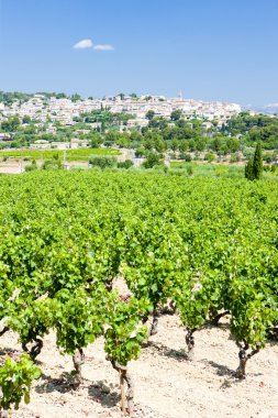 La CADIERE d'' azur ile üzüm bağları, provence, Fransa