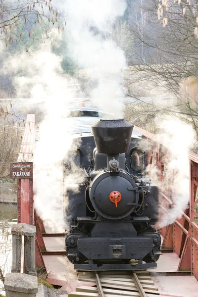 Last day of service of CKD steam locomotive n. 5 (1.4.2008), Cie — Stock Photo, Image