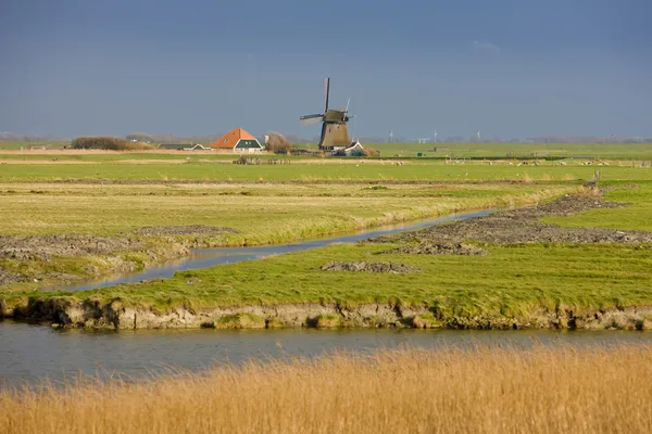 Windmill, Pays-Bas — Photo