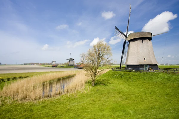 Molinos de viento cerca de Alkmaar, Países Bajos — Foto de Stock
