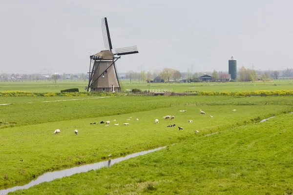 Szélmalom közelében steefkerk, Hollandia — Stock Fotó