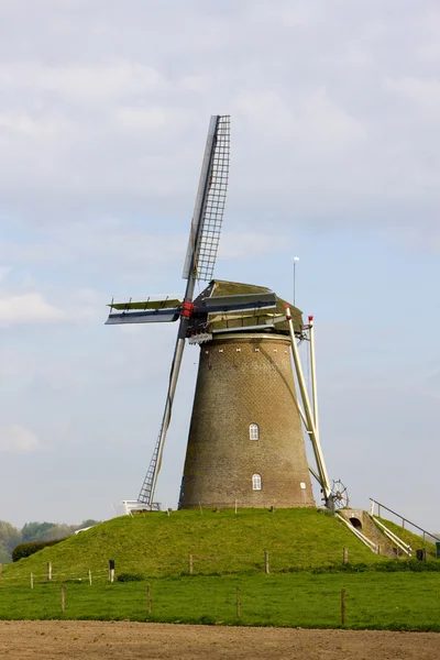 Molino de viento cerca de Rha, Güeldres, Países Bajos —  Fotos de Stock