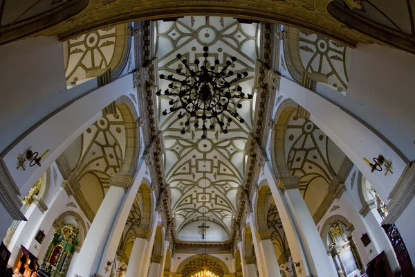 Katedrála '' s interiér, zamosc, Polsko — Stock fotografie