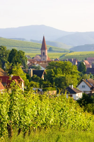 Wettolsheim, Alsace, France — Stock Photo, Image