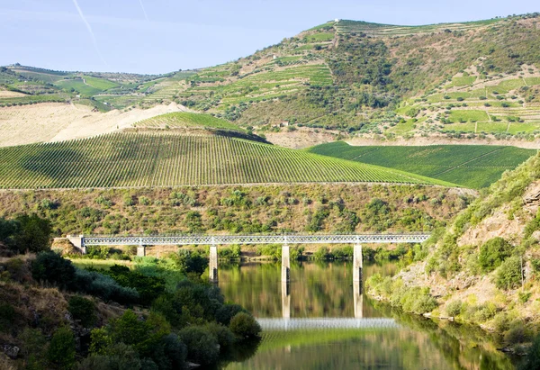 Viaduc ferroviaire dans la vallée du Douro, Portugal — Photo