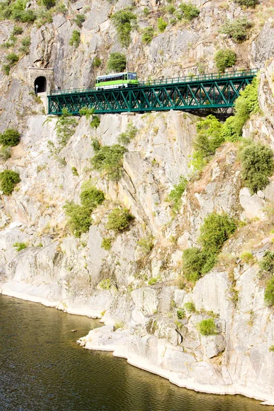 关于铁路高架桥附近大伯、 杜罗谷、 葡萄牙引擎教练 — 图库照片