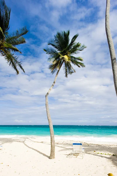카리브해, 바베이도스, 맨 아래만 — 스톡 사진