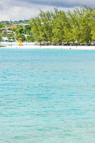 Företaget beach, barbados, Karibien — Stockfoto
