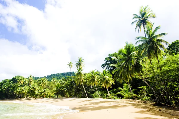Bahía de Inglaterra, Tobago — Foto de Stock